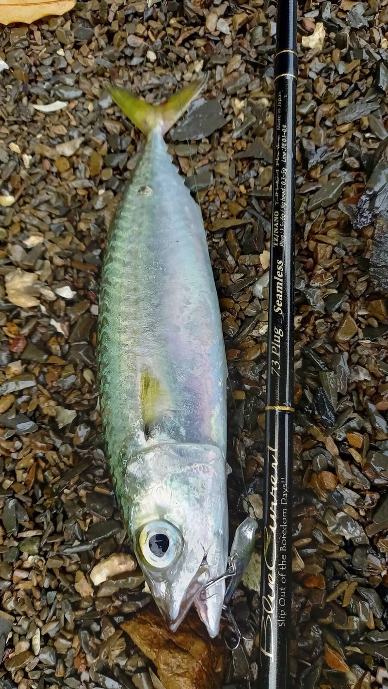 Yamaga Blanks - Blue Current 73Plug Seamless Spinning Rod