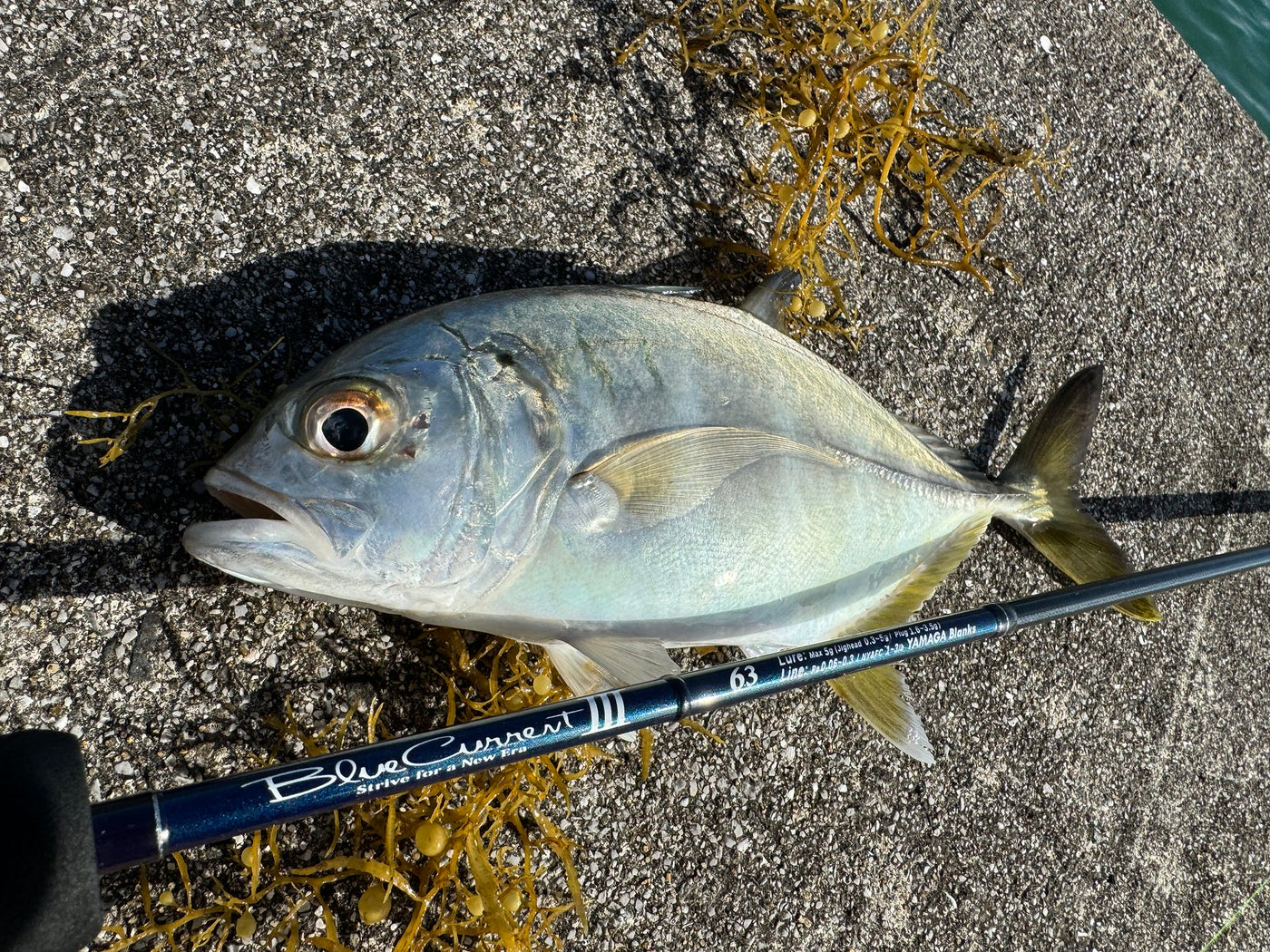 Yamaga Blanks - Blue Current III 63 Spinning Rod