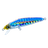 Sardine
