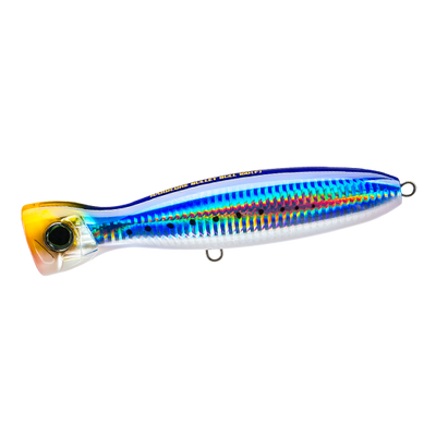 Sardine