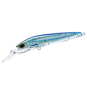 Blue Mackerel