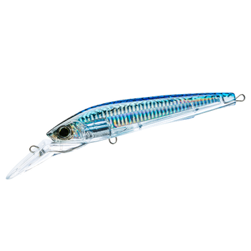 Blue Mackerel