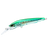 Sardine