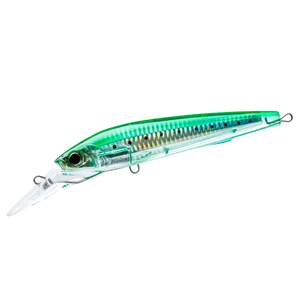 Sardine