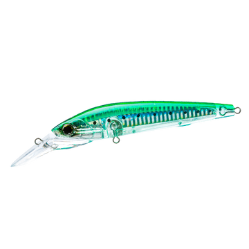 Sardine