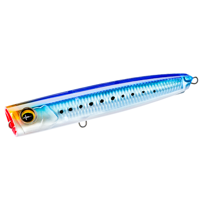 Sardine