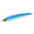 Sardine