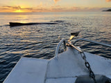 Boomer - All Terrain Anchor
