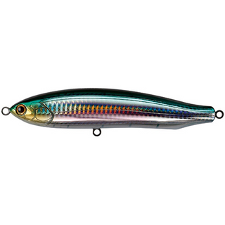 #6 Halfbeak