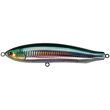 #6 Halfbeak
