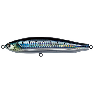#7 Sardine