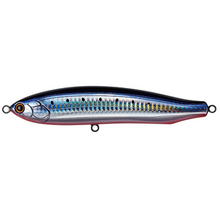 #8 Sardine Red Belly