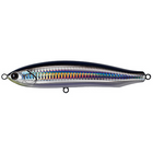 #11 Pacific Saury