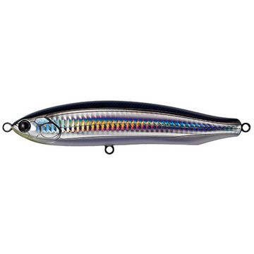#11 Pacific Saury