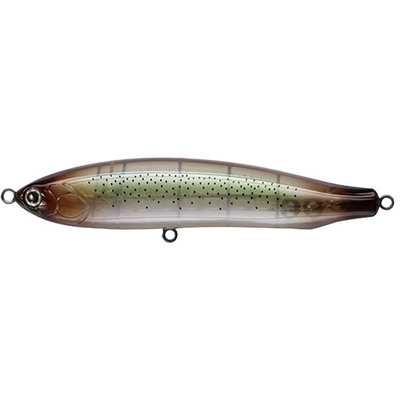 #20 Squid