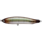 #20 Squid