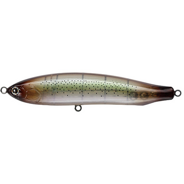 #20 Squid