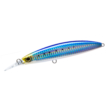Sardine