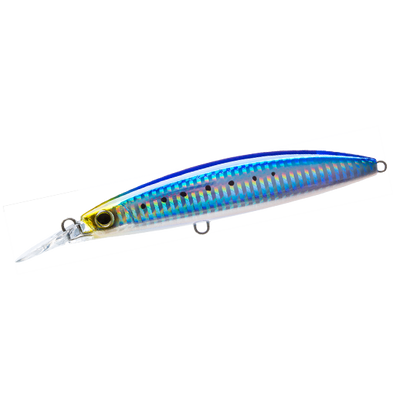 Sardine