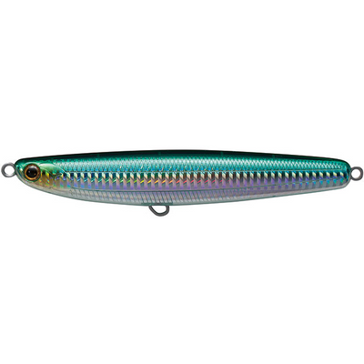 #6 Halfbeak