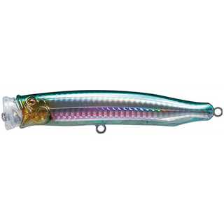 #6 Halfbeak