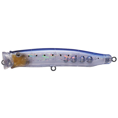 #19 Clear Sardine