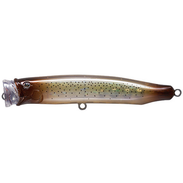 #20 Squid