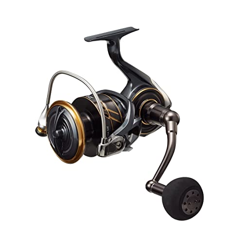 Daiwa - 22 CALDIA SW 10000-H