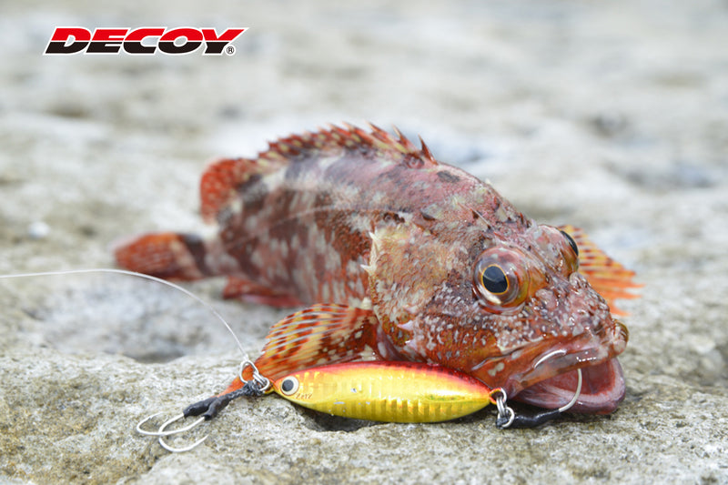 Decoy - Short Pike