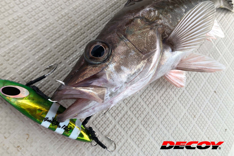 Decoy - Twin Pike Shorter