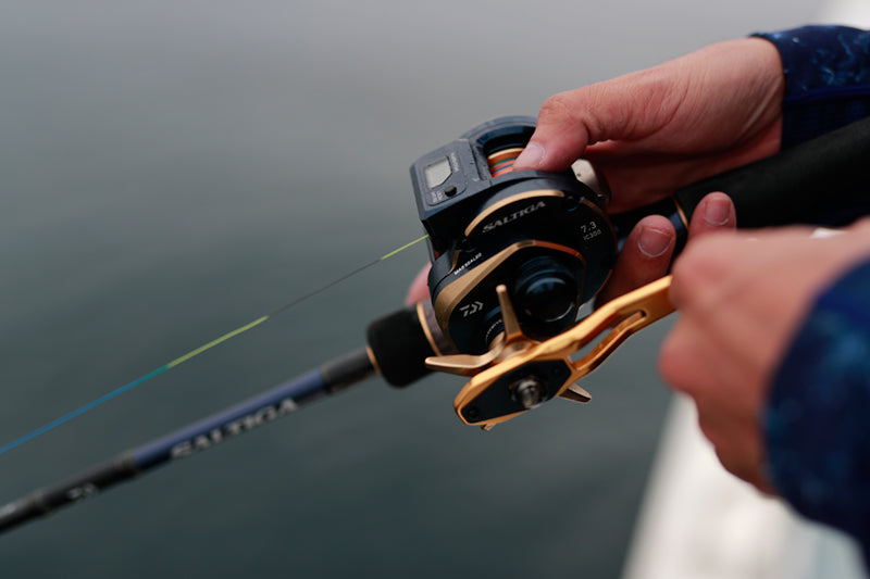 Daiwa - 21 SALTIGA IC 300