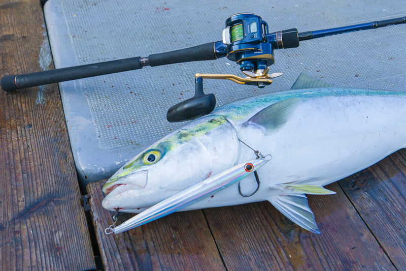 Daiwa - 21 SALTIGA IC 100L