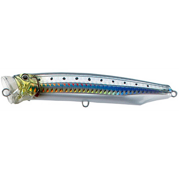 #7 Sardine Slit HG