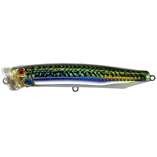 #10 Mackerel