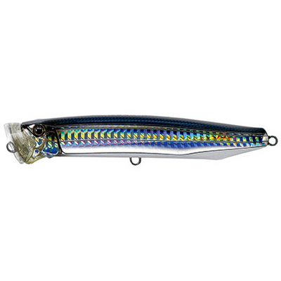 #11 Pacific Saury