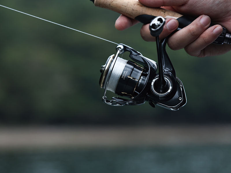Daiwa - 26 FREAMS LT6000D-H
