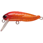 #5 Aurora Orange