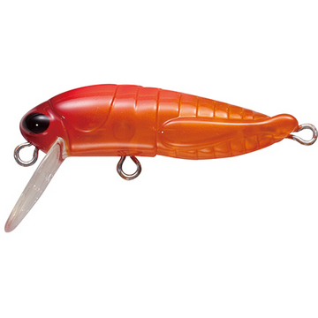 #5 Aurora Orange