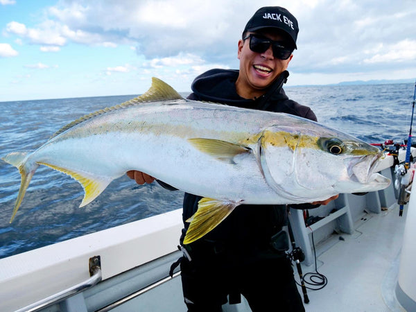 Topwater kingfish guide