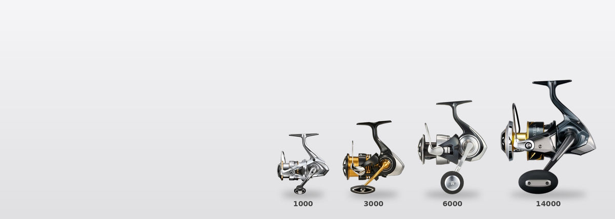 Spinning reels from small to big: 1000, 3000, 6000 and 14000 sizes