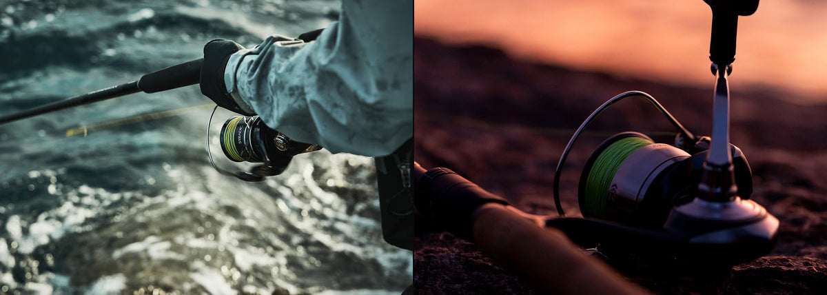 Shimano Stradic in use beside a Daiwa Certate on a rod at sunset