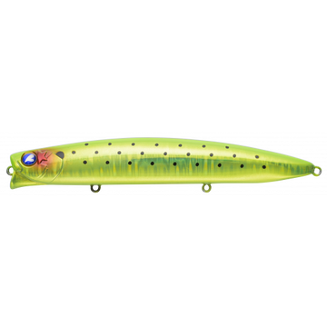 #23 Kiwi