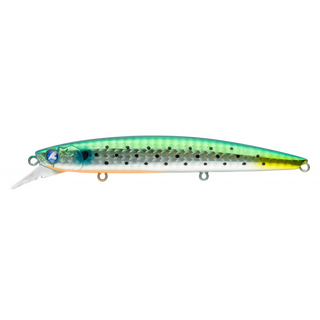 #05 Baby Gray Mullet
