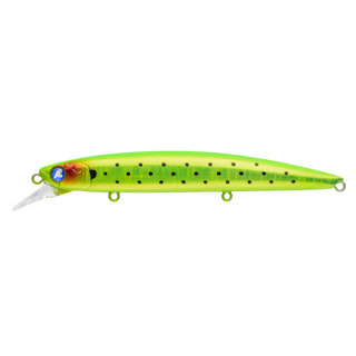 #23 Kiwi