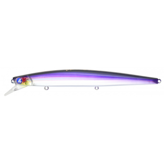 #04 Japanese Anchovy