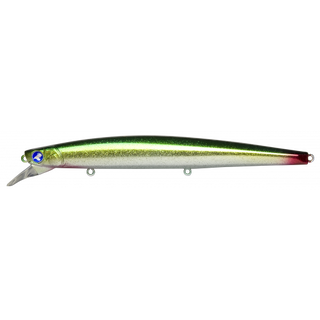 #12 Gold Mackerel