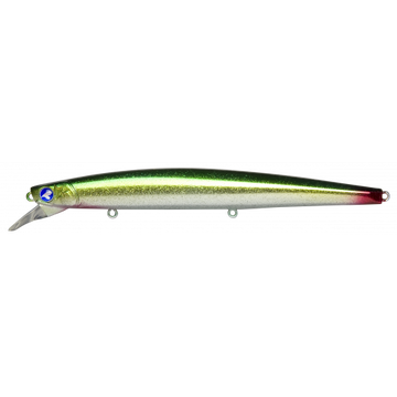 #12 Gold Mackerel