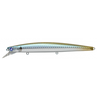 #16 Boshu Horse Mackerel