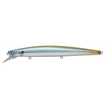 #16 Boshu Horse Mackerel