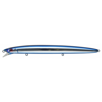 #01 BlueBlue